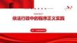 依法行政中的程序正義實踐