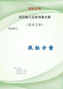 项目施工应急预案投标方案（技术标）