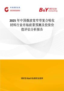 2025年中國(guó)微波寬窄帶復(fù)合吸收材料行業(yè)市場(chǎng)前景預(yù)測(cè)及投資價(jià)值評(píng)估分析報(bào)告