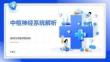 中枢神经系统解析