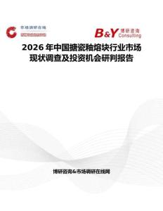 2026年中国搪瓷釉熔块行业市场现状调查及投资机会研判报告
