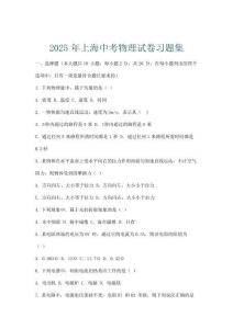 2025年上海中考物理試卷習題集