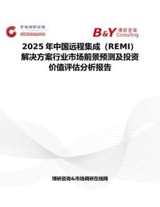 2025年中國遠程集成（REMI）解決方案行業市場前景預測及投資價值評估分析報告