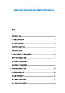 布基纳法索农业技术援助与节水灌溉项目投资效益评估