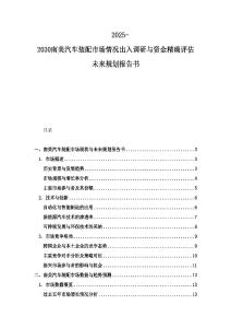 2025-2030南美汽车装配市场情况出入调研与资金精确评估未来规划报告书