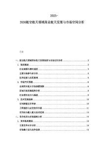 2025-2030航空航天領(lǐng)域商業(yè)航天發(fā)展與市場(chǎng)空間分析