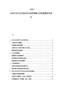 2025-2030汽車行業詳細分析及前景策略與資金配置研究報告