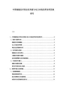 中国储能技术商业化突破与电力市场改革协同发展研究