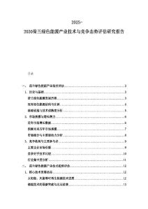 2025-2030荷兰绿色能源产业技术与竞争态势评估研究报告