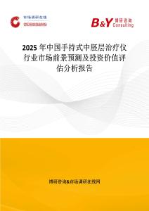 2025年中国手持式中胚层治疗仪行业市场前景预测及投资价值评估分析报告