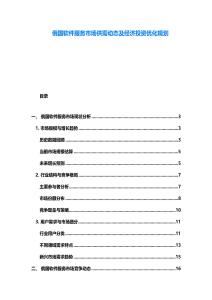 俄國軟件服務市場供需動態及經濟投資優化規劃