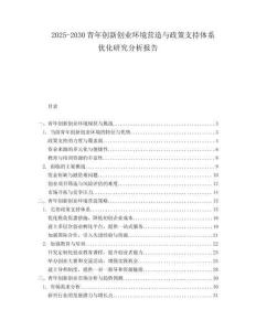 2025-2030青年创新创业环境营造与政策支持体系优化研究分析报告