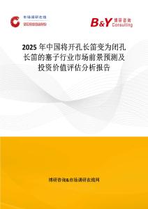 2025年中国将开孔长笛变为闭孔长笛的塞子行业市场前景预测及投资价值评估分析报告