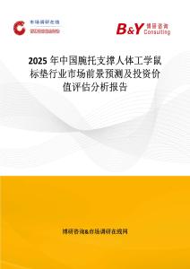 2025年中国腕托支撑人体工学鼠标垫行业市场前景预测及投资价值评估分析报告