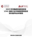2025年中國虛擬首席信息官 (CIO) 服務行業市場前景預測及投資價值評估分析報告