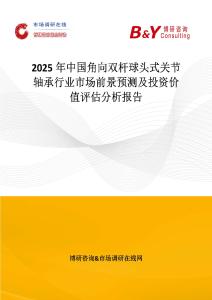 2025年中国角向双杆球头式关节轴承行业市场前景预测及投资价值评估分析报告