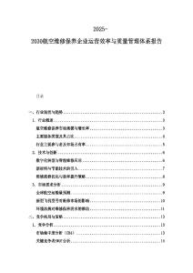 2025-2030航空维修保养企业运营效率与质量管理体系报告