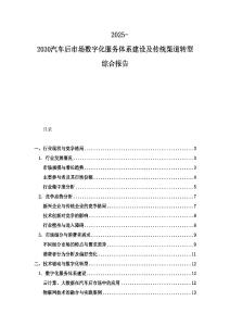 2025-2030汽車后市場數字化服務體系建設及傳統渠道轉型綜合報告