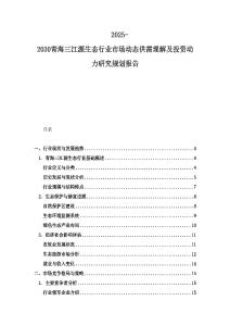 2025-2030青海三江源生態行業市場動態供需理解及投資動力研究規劃報告