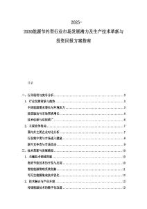 2025-2030能源節約型行業市場發展潛力及生產技術革新與投資回報方案指南
