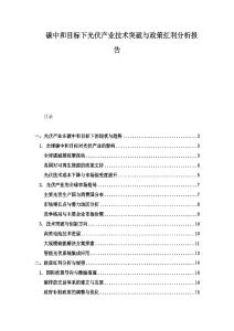 碳中和目标下光伏产业技术突破与政策红利分析报告