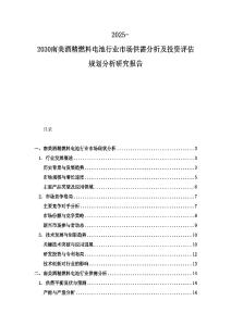 2025-2030南美酒精燃料電池行業市場供需分析及投資評估規劃分析研究報告