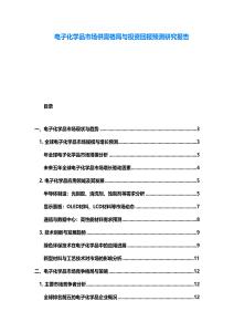電子化學品市場供需格局與投資回報預測研究報告