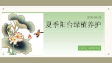 夏季阳台绿植养护