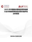 2025年中國納米銀線透明導電膜行業市場前景預測及投資價值評估分析報告