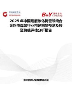 2025年中国耐磨碳化钨管装纯合金粉电焊条行业市场前景预测及投资价值评估分析报告