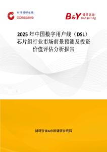 2025年中國數(shù)字用戶線（DSL）芯片組行業(yè)市場前景預測及投資價值評估分析報告