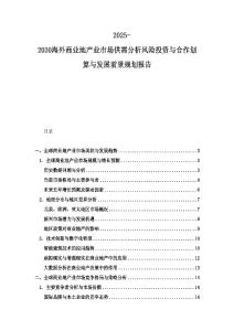 2025-2030海外商業地產業市場供需分析風險投資與合作劃算與發展前景規劃報告