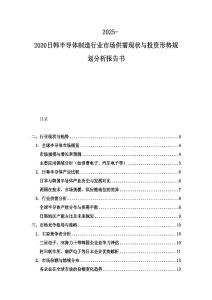 2025-2030日韓半導體制造行業市場供需現狀與投資形勢規劃分析報告書