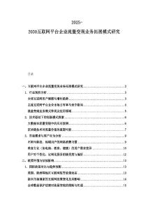 2025-2030互聯網平臺企業流量變現業務拓展模式研究