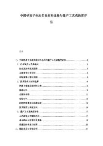 中國鈉離子電池負極材料選擇與量產工藝成熟度評估