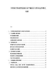 中國真空熱成型包裝行業(yè)產(chǎn)融結(jié)合與資本運作模式創(chuàng)新