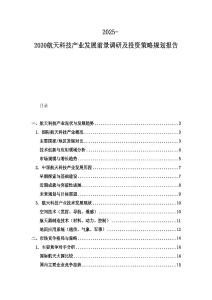 2025-2030航天科技產業發展前景調研及投資策略規劃報告