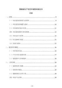 聚酰胺生產(chǎn)項(xiàng)目環(huán)境影響報(bào)告書
