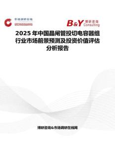2025年中國(guó)晶閘管投切電容器組行業(yè)市場(chǎng)前景預(yù)測(cè)及投資價(jià)值評(píng)估分析報(bào)告