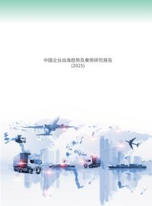 中國企業出海趨勢及案例研究報告（2025）
