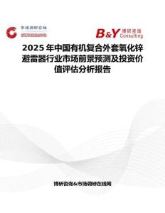 2025年中国有机复合外套氧化锌避雷器行业市场前景预测及投资价值评估分析报告