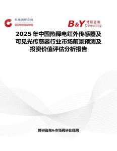 2025年中国热释电红外传感器及可见光传感器行业市场前景预测及投资价值评估分析报告