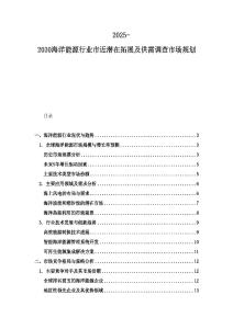 2025-2030海洋能源行业市近潜在拓展及供需调查市场规划
