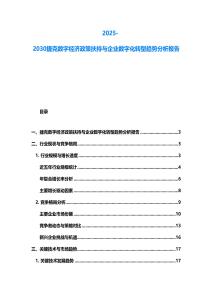 2025-2030捷克数字经济政策扶持与企业数字化转型趋势分析报告
