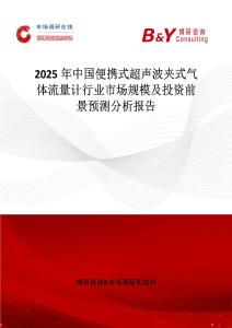 2025年中国便携式超声波夹式气体流量计行业市场规模及投资前景预测分析报告