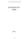煤气发电机组生产项目立项报告