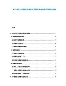 第三方支付市场格局演变及监管趋势与投资价值评估报告
