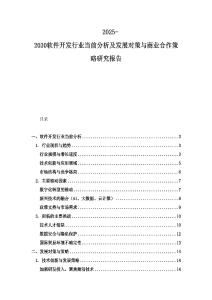 2025-2030软件开发行业当前分析及发展对策与商业合作策略研究报告