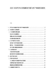 2025-2030汽车后市场服务升级与用户体验优化报告
