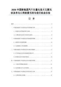 2026中国新能源汽车轻量化技术发展现状及市场应用前景预测与投资机会报告